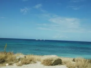 Ocean Front Land!