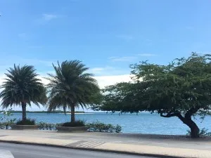 Beach Apartment!
