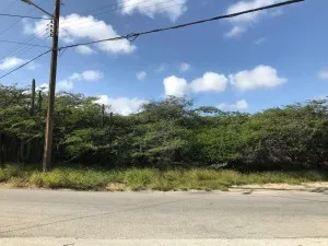 Mahuma Property Land