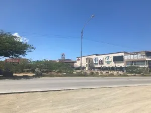 Land in Palm Beach!