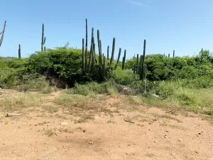 Property Land at Tamarjin